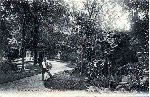 Contribution de Charles-André RIVAUD (cgp0478)