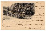 Contribution de Charles-André RIVAUD (cgp0478)
